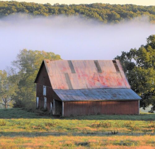 Foggy Morning barn