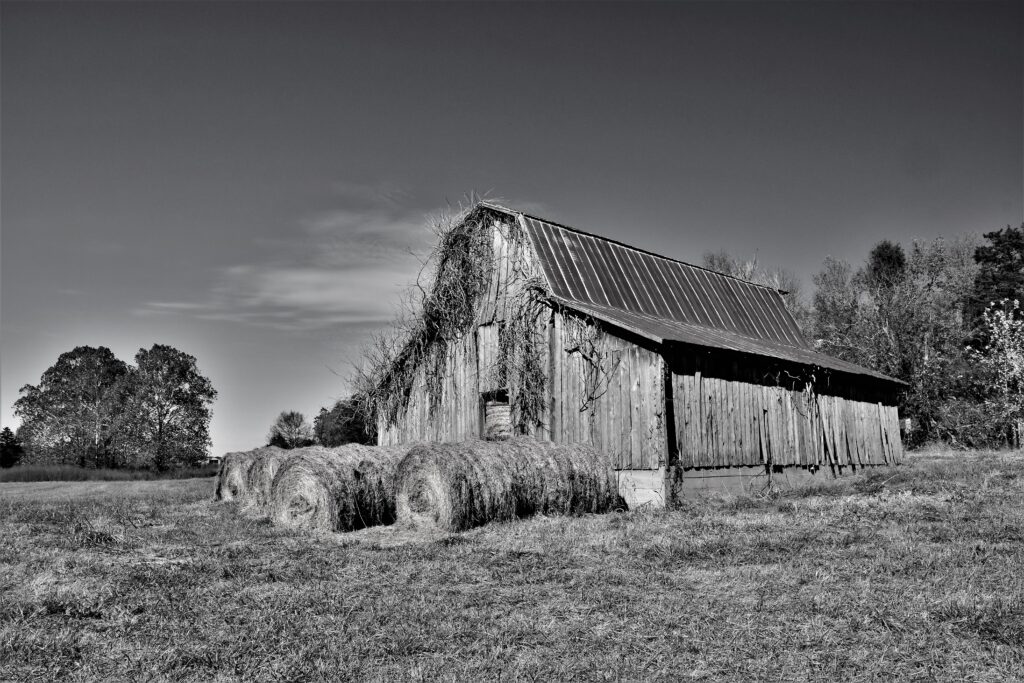 kingston barn bw rec